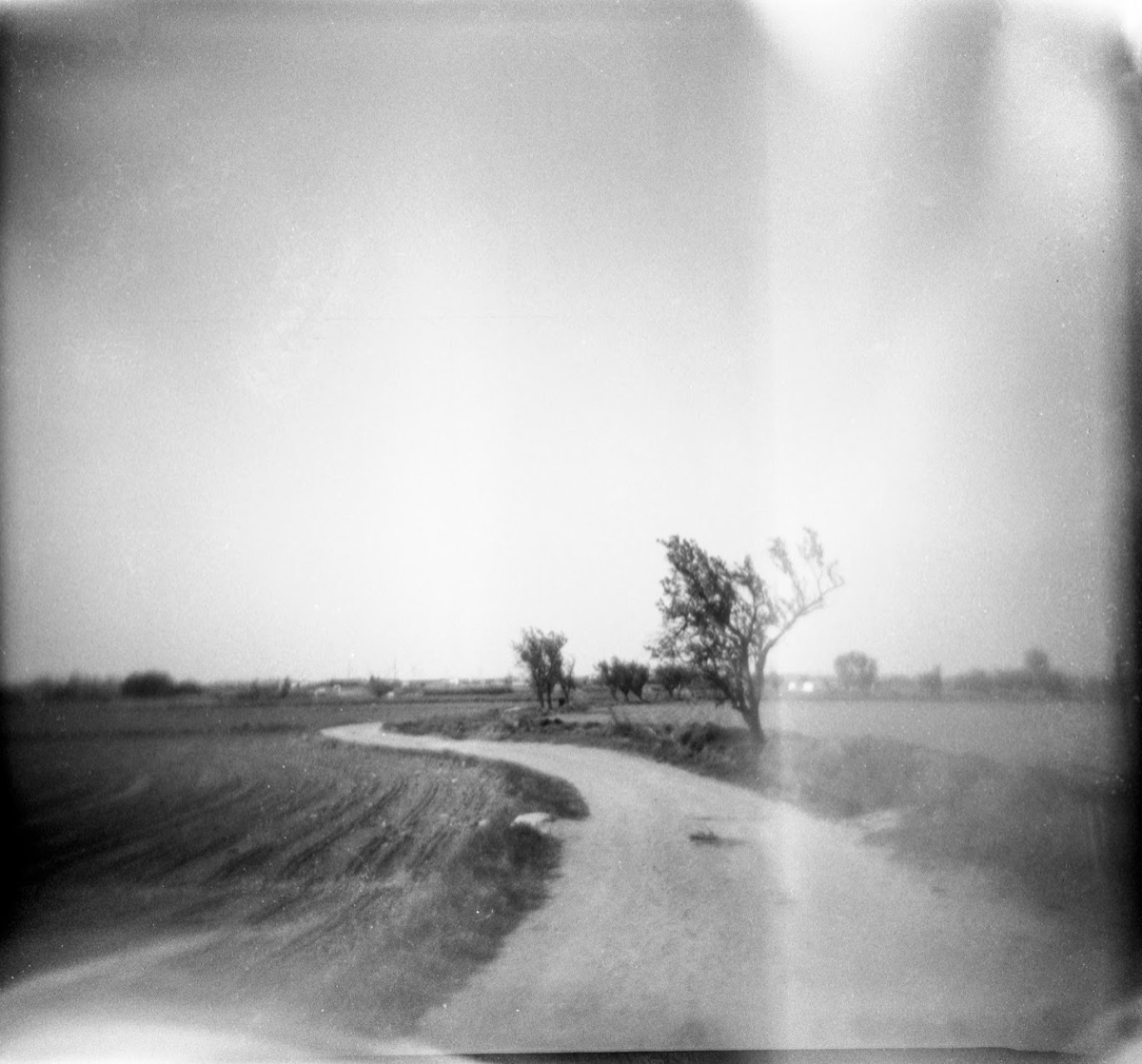 Tarda Holga: una celebració de la càmera imperfecta (11)