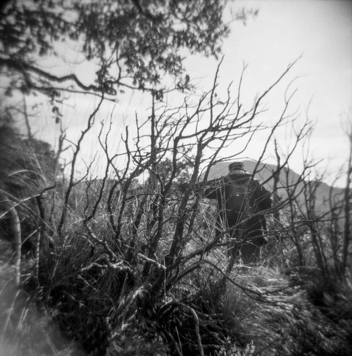 Tarda Holga: una celebració de la càmera imperfecta (13)