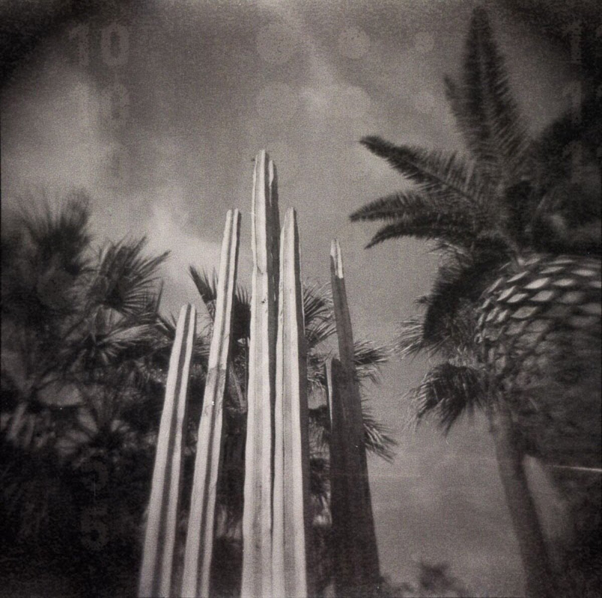 Tarda Holga: una celebració de la càmera imperfecta (16)