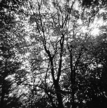 Tarda Holga: una celebració de la càmera imperfecta (7)