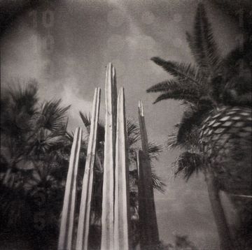 Tarda Holga: una celebració de la càmera imperfecta (16)